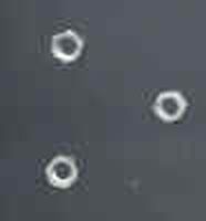 Muttern für 1,6 mm Draht 20 Stück, Schlüsselweite 2,8 mm